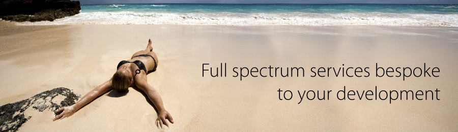 Fractional Marketing Image 2